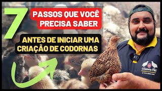 Como iniciar uma CRIAÇÃO DE CODORNAS do ZERO  Tudo que você precisa saber sobre criação de codornas [upl. by Lepp]