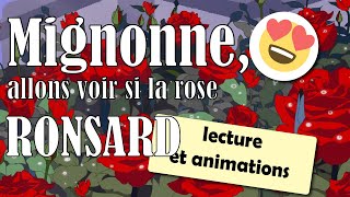 Mignonne allons voir si la rose  poème de Pierre de Ronsard  Lecture [upl. by Sew]