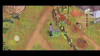 I PLANT TOMATO SEEDS IN MY VILLAGE😱😱 GONE WRONG part1 [upl. by Feodora]