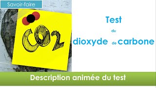 Test didentification du dioxyde de carbone [upl. by Stewardson]