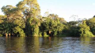 Pescaria de Chalana no Passo do Lontra Pantanal com Reginaldo Sucuri 2015 [upl. by Ives188]