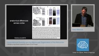 Computational Diversity and the mesoscale organization of the neocortex [upl. by Eloccin647]