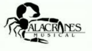 alacranes musical el sinaloense [upl. by Hollie]