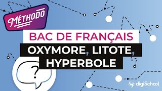 Français Lycée  Les figures de style  oxymore litote hyperbole [upl. by Chita]