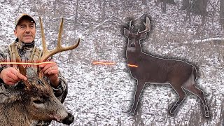 NonTypical Buck Surprises Bowhunter [upl. by Erodaeht980]