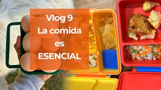 La comida es esencial  Vlog 9 [upl. by Nylodnewg827]