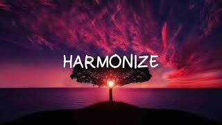 Harmonize  Wishes  LYRICS [upl. by Elad664]