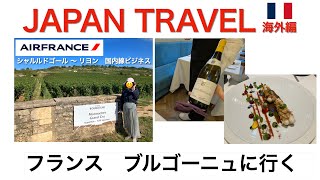 【フランス旅行】ビジネスクラス・レンタカーで行く ブルゴーニュ地方 [upl. by Dustan429]