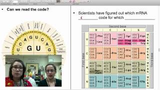 Protein Synthesis Review Mini Lecture [upl. by Drofnil]