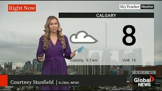 Courtney Stanfield  Global Calgary  Evening News Saturday June 15 2024 [upl. by Annaej]