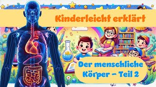 Der Menschliche Körper  Teil 2  Kinderleicht Erklärt erklärung Kinder wissen body [upl. by Holzman]