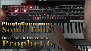 PlugInGurus Sonic Tour DSI Prophet 6 [upl. by Kirkwood373]