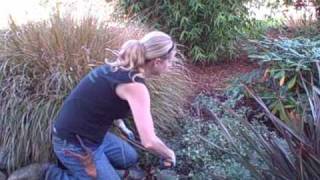 Fiskars Powergear Hedging Shearwmv [upl. by Nagey583]