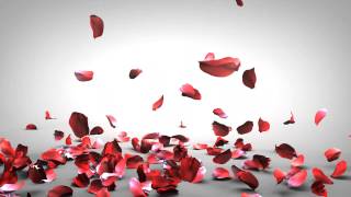 Falling Rose Petals [upl. by Tala]