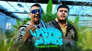 Los Farmerz x Tite Chavez  La Pluma De Wax En Vivo [upl. by Leumel]