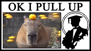 What Makes Capybaras And “Ok I Pull Up” Work So Well Together [upl. by Faust]