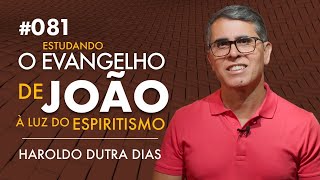 081  O EVANGELHO DE JOÃO  Haroldo Dutra Dias Estudando [upl. by Osicnarf]