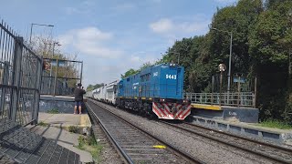 CRRC CDD3A1 9443 Con Tren de Carga a Cabred pasando por Estación Bella vista [upl. by Zamir671]