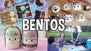 Inside Japanese Bento Box Culture ft BentoampCo [upl. by Noslen]