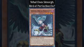 What Does Simorgh Bird of Perfection Do Yugioh Cards Explained for Easy Deck Building [upl. by Standush621]