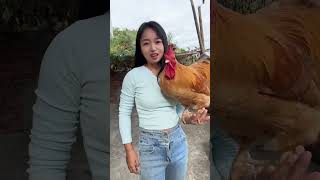 A big rooster that can understand human language People and animals live in harmony The fighte [upl. by Codel360]