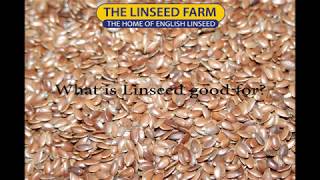 What is linseed flaxseed good for [upl. by Nyleuqcaj603]