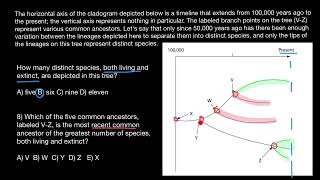 Phylogenetic tree analysis [upl. by Siloum472]