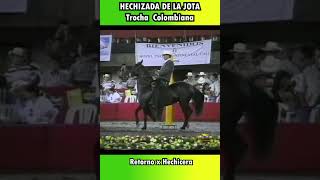 HECHIZADA MUNDIAL CALI 1997TROCHA shortsvideo trocha horse equitacion [upl. by Cirillo]