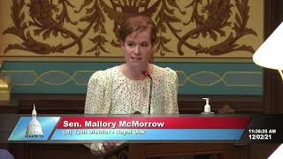 Sen McMorrow Floor Speech Why Are Childrens Lives Worth Less Than Guns [upl. by Udenihc874]