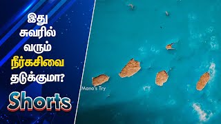 இத நீர்கசிவுக்கு Use பண்ணலாமா Asian Paint Damp Block 2k Testing  Manos Try Tamil Shorts [upl. by Pimbley]