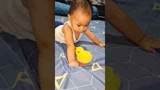 Cute Baby Chicken Toys funnyvideo cute baby [upl. by Moht]