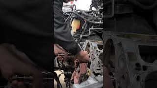 Chevy 53 Cam install chevy chevrolet automobile engine camshaft truck mechanic shorts reel [upl. by Anaid289]