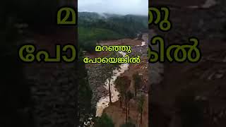 wayanad land slide experience quotes trending shorts wayanad malayalam [upl. by Arnon]