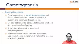 Gametogenesis  Biology  Class 12  AIPMT  AIIMS  askIITians [upl. by Heiney450]