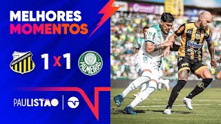 VEIGA CRAVA MAS PALMEIRAS LEVA O EMPATE NO FIM GRÃŠMIO NOVORIZONTINO 1 X 1 PALMEIRAS  PAULISTÃƒO [upl. by Bratton]