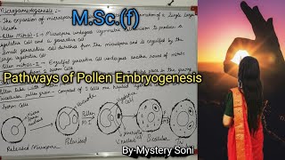 BScMSc Pollen Embryogenesis Microsporogenesismicrogametogenesis [upl. by Lotti584]