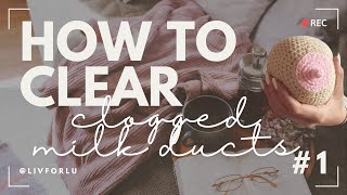 Clogged Milk Ducts  5 TIPS  LIVFORLU [upl. by Jaymie394]