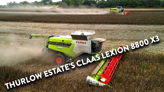 4Kᵁᴴᴰ Harvest 2024 Thurlow Estates THREE Claas Lexion 8800 combines harvesting beans in Suffolk [upl. by Anaimad]