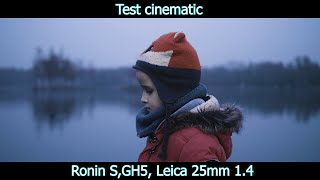 My first test dji ronin s  gh5  25mm leica f14 [upl. by Shanley532]