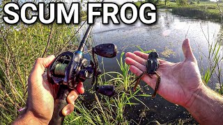 Frog Fishing for Hungry PostSpawn Bass Scum Frog Trophy Series [upl. by O'Kelly917]