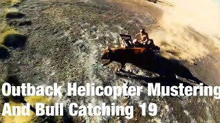 Outback Helicopter Mustering and Bull Catching Western Australia 19 [upl. by Ruphina]