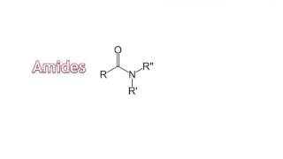 07  Amines amp Amides [upl. by Natie16]