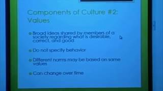 Lesson 3 Symbolic Interaction and Culture [upl. by Adriaens308]