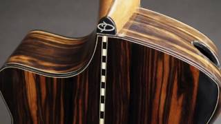 Beardsell Macassar Ebony Guitar at Guitar Gallery [upl. by Nallac]