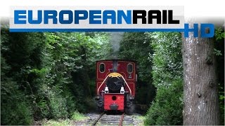 Stradbally Woodland Railway [upl. by Novets450]