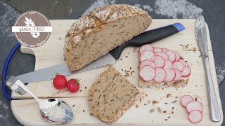 WAHNSINNIG leckeres Brot Körnerkruste  laktosefrei  vegan  glutenfrei backen mit Nadine [upl. by Jayne]