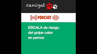 130  ESCALA de riesgo del golpe calor en perros [upl. by Ami]