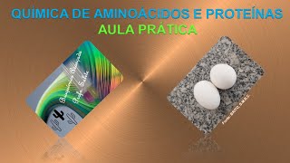 Aula prática  Proteínas e Aminoácidos [upl. by Gniliem]