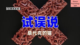 【心理学实验】试误说  因为猫而诞生的心理学理论  桑代克的猫 [upl. by Sashenka]