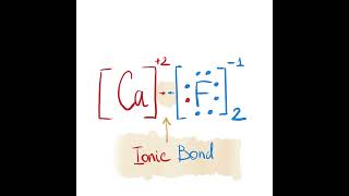 Calcium Fluoride  Lewis Dot Structure [upl. by Card]